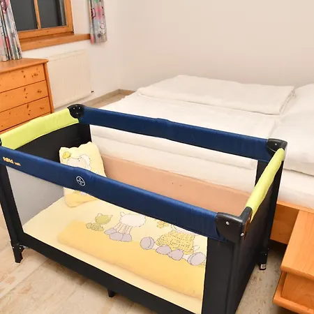 Neben Der Gondelbahn - Haus Sued Appartement